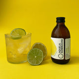 Aquela Kombucha Garrafa 25cl Lima Limão
