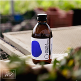 Aquela Kombucha Botella de Vidrio 25cl Original