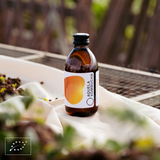 Aquela Kombucha Glass Bottle 25cl Ginger