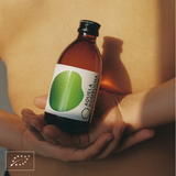 Aquela Kombucha Garrafa de Vidro 25cl Hortelã