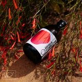 Aquela Kombucha Botella de Vidrio 25cl Fresa 