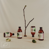 Aquela Kombucha Botella de Vidrio 25cl Hoja de Higuera