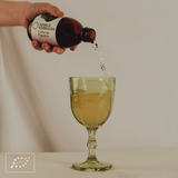 Aquela Kombucha Botella de Vidrio 25cl Hoja de Higuera