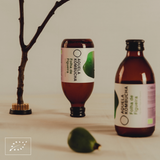 Aquela Kombucha Botella de Vidrio 25cl Hoja de Higuera