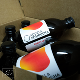 Aquela Kombucha Glass Bottle 25cl Spices