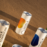 Aquela Kombucha Lata 25cl Jengibre