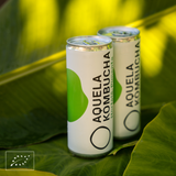 Aquela Kombucha Lata 25cl Hortelã