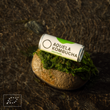 Aquela Kombucha Lata 25cl Hortelã