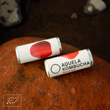 Aquela Kombucha Lata 25cl Fresa