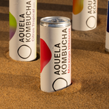 Aquela Kombucha Lata 25cl Fresa