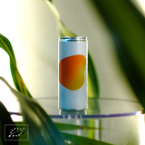 Aquela Kombucha Can 25cl Ginger