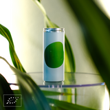 Aquela Kombucha Lata 25cl Hortelã