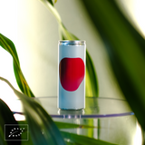 Aquela Kombucha Lata 25cl Fresa