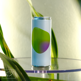 Aquela Kombucha Lata 25cl Tropical