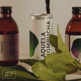 Aquela Kombucha Lata 25cl Folha de Figueira