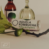 Aquela Kombucha Lata 25cl Hoja de Higuera