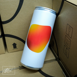 Aquela Kombucha Can 25cl Spices