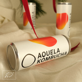 Aquela Kombucha Lata 25cl Especias