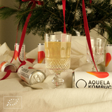 Aquela Kombucha Lata 25cl Especias