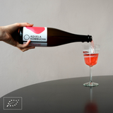 Aquela Kombucha Botella de Vidrio 75cl Fresa