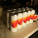 Aquela Kombucha Lata 25cl Especias