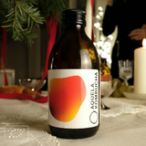 Aquela Kombucha Botella de Vidrio 25cl Especias