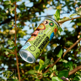 Aquela Kombucha Can 25cl Apple