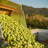 Zumiño Botella de Vidrio 25cl Orixinal