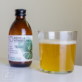 Aquela Kombucha Botella de Vidrio 25cl Cúrcuma y Pimienta Negra