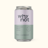 Why Not Soda Can 33cl Cola Natural