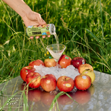 Aquela Kombucha Can 25cl Apple