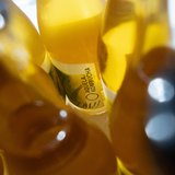 Aquela Kombucha Vínica Glass Bottle 75cl Alvarinho