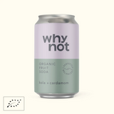 Why Not Soda Can 33cl Cola Natural