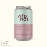 Why Not Soda Can 33cl Pomegranate + Cucumber